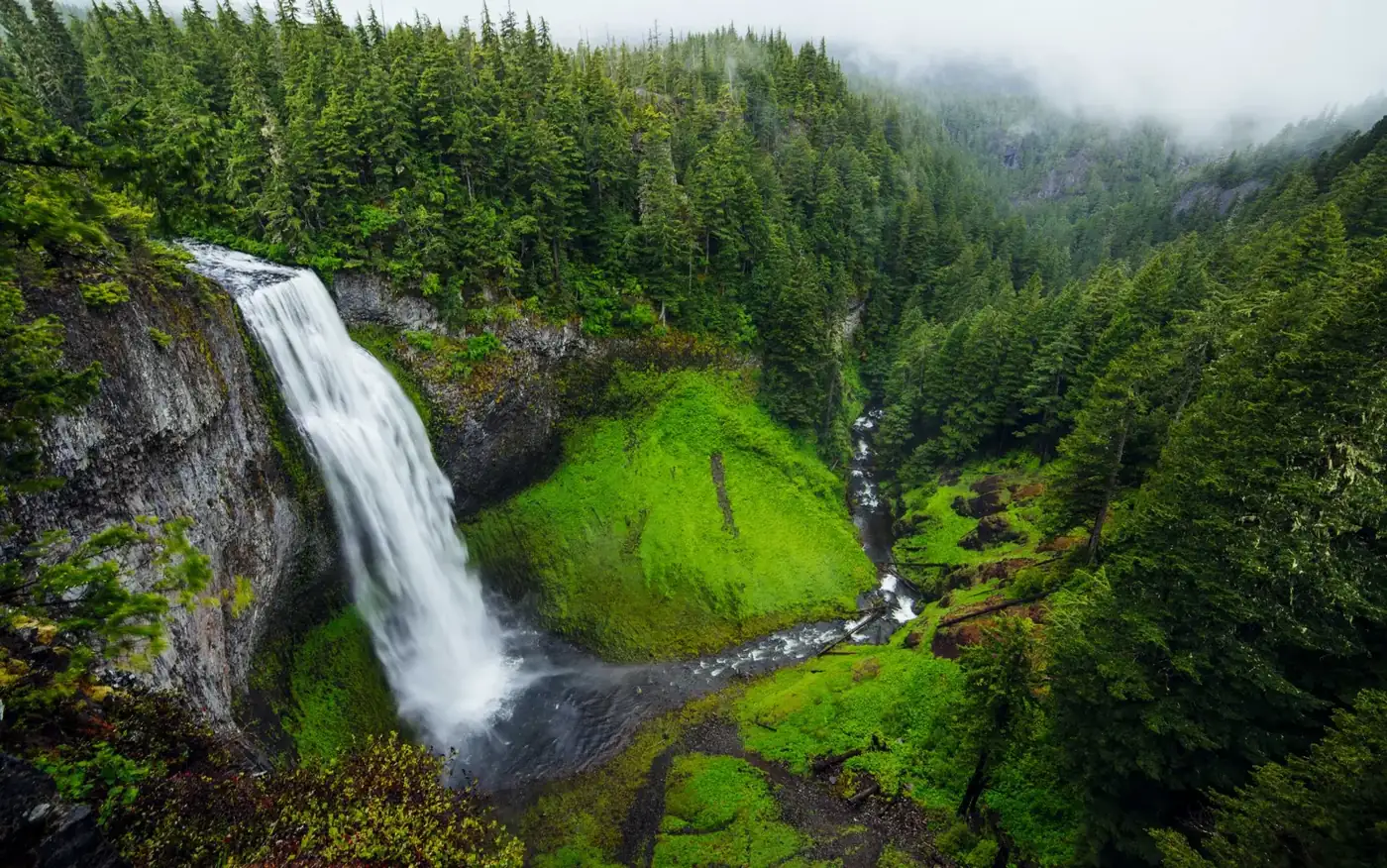 A waterfall dropping from a cliff into a conifer forest in mist